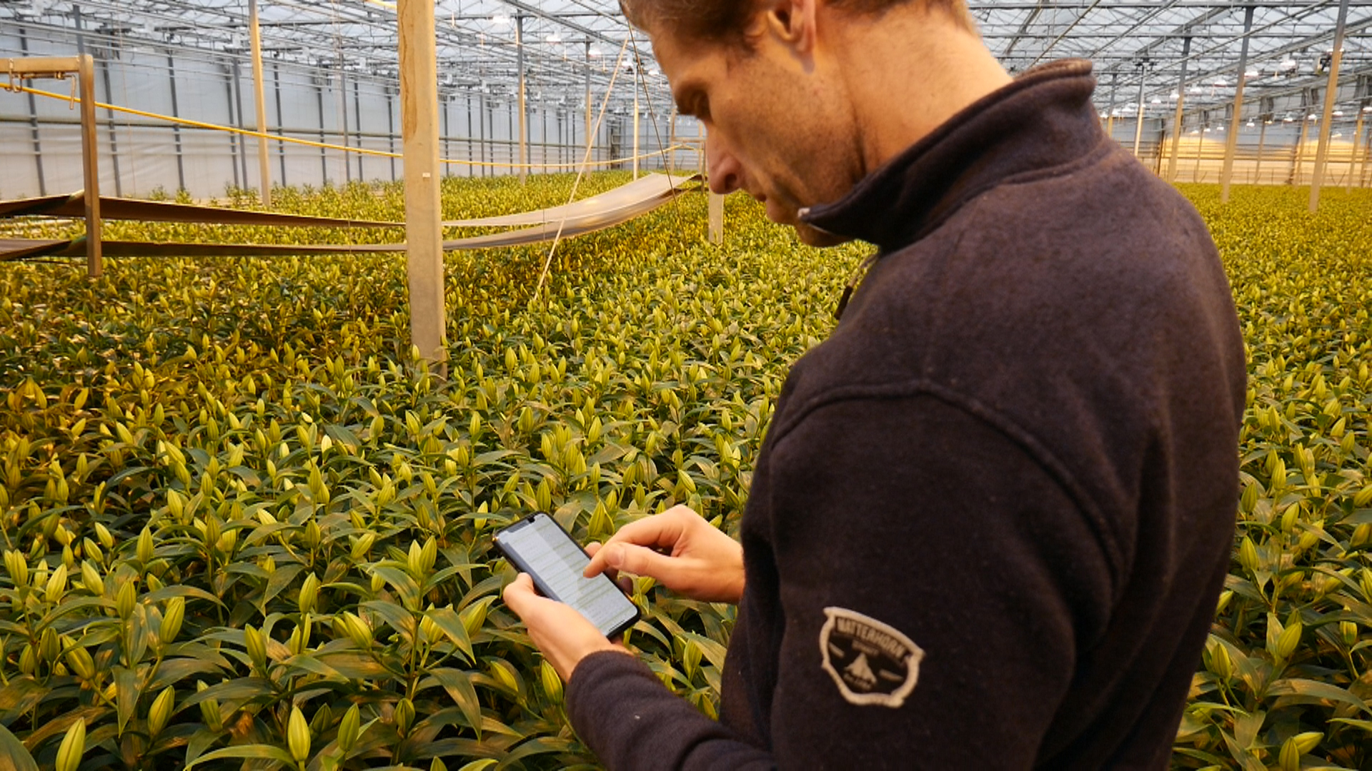 Raymond Vijverberg GreenMaster