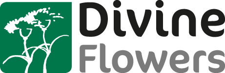 divine flowers logo